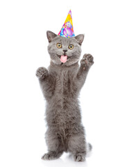 Aufkleber - Surprised kitten with tongue out wearing party cap standing on hind legs and looking at camera. isolated on white background