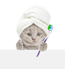 Poster - Funny kitten holds toothbrush above blank white banner. Empty space for text. Isolated on white background