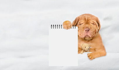 Fototapete - Tired Mastiff puppy sleeps on a bed at home and showing empty list in it paw. Top down view. Empty space for text