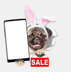 Aufkleber - Happy Pug puppy wearing easter rabbits ears holds big smartphone with white blank screen and shows signboard with labeled 