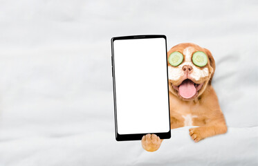 Fototapete - Funny Mastiff puppy with cream on his face, with pieces of cucumber on his eyes relaxing on the bed at home and showing big smartphone with white blank screen. Top down view. Empty space for text
