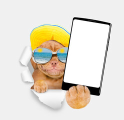 Leinwandbilder - Happy Mastiff puppy wearing  sunglasses and summer hat holds big smartphone with white blank screen, showing close to camera through torn white paper hole. Empty free space for mock up