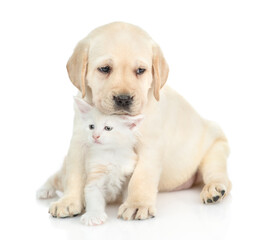 Fototapete - Friendly cute Golden retriever puppy hugs a tiny maine coon kitten. isolated on white background