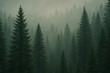 © oyum - an AI-generated illustration of a foggy forest