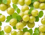 gooseberry isolated on white background
