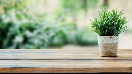 Fototapete - Empty wooden table with potted plant showing a blurred botanical garden background