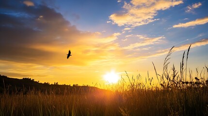Aufkleber - Stunning Sunset Over Golden Fields with Silhouette of Bird in Sky : Generative AI