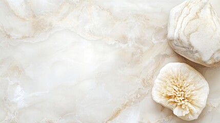 Fototapete - Elegant Soft Neutral Marble Textured Background with Natural Stones for Design or Decoration : Generative AI