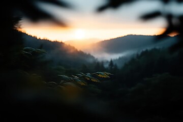 Aufkleber - A view of a mountain sunset with a foreground of plant life. The sun is peeking through a small opening on the horizon, with mist in the valley below. The plant in the foreground is slightly blurred