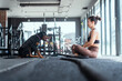 © 2B - Woman training her dog at the gym during morning workout session focused on obedience and fitness