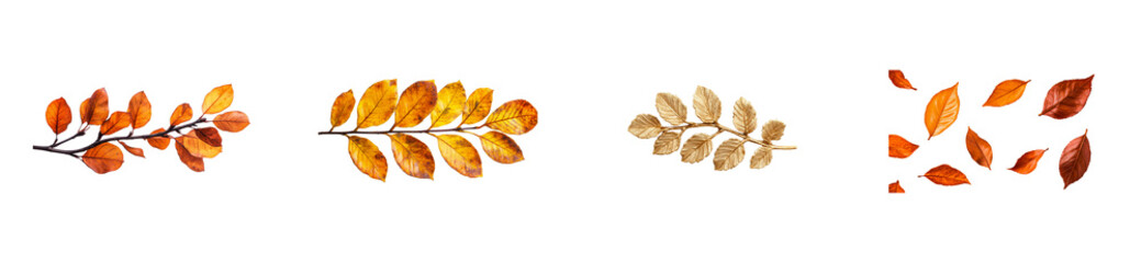 Wall Mural - Autumn leaves, branches, fall foliage arrangements, seasonal elements, cut out transparent