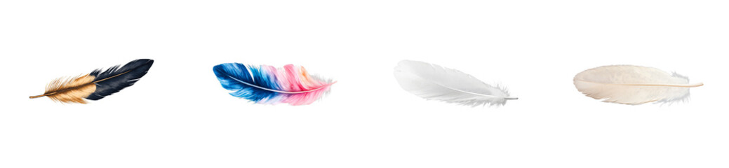 Wall Mural - colorful feathers with transparent background for creative projects