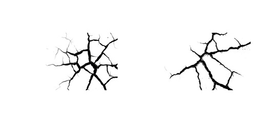 Wall Mural - intricate black cracks on transparent background for design elements