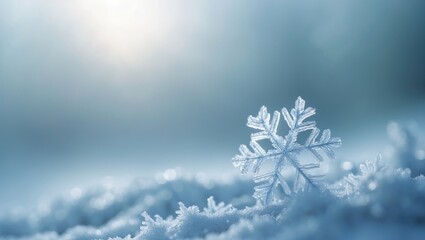 Leinwandbilder - Fragile snowflakes on a gentle background.