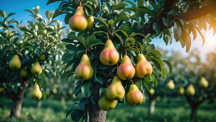 Poster - Capture the essence of succulent, ripe fruit in your photos.
