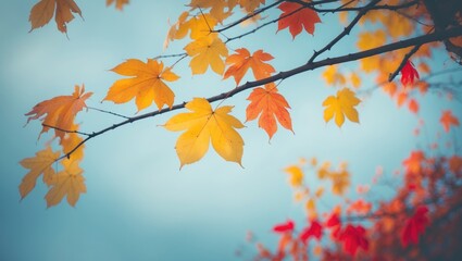 Poster - Autumn branches adorned with red and orange leaves set against the sky. Shallow depth of field. Vibrant foliage in the woods. Beautiful autumn-themed backdrop.