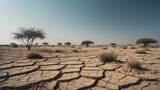 Dry landscape with worn soil and limited acacia trees. Evidence of erosion on the sandy ground. Drought conditions resulting in desertification. Natural image taken during the season.
