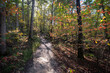 © Danita Delimont - Hiking trail in the Giant City State Park part of the Shawnee National Forest in southern Illinois