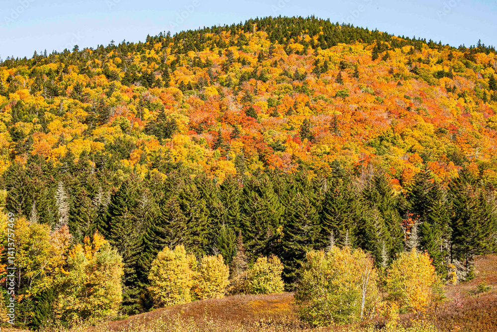 USA, New Hampshire. Mount Washington, Bretton Woods Resort, fall ...