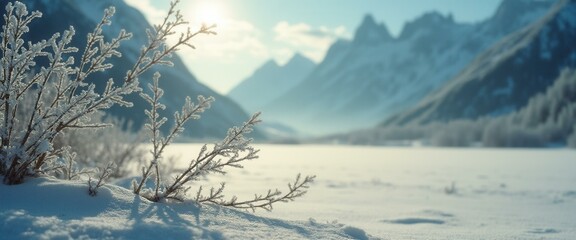 Aufkleber - Winter landscape with frosted branches and distant mountain peaks in a serene snow-covered valley