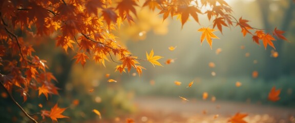 Aufkleber - Golden autumn leaves falling gently in a park, creating a serene and picturesque scene with sunlight filtering through the branches