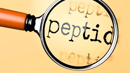 Leinwandbilder - Peptides under careful examination. Focusing on Peptides, analyzing it, taking a closer look. Concentrating on Peptides, targeting and reviewing it, searching for answers