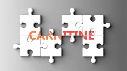 Fototapete - Carnitine as a complex topic - pictured as word carnitine on a puzzle pieces to show that carnitine is a composite subject. Solving a puzzle. Pieces coming together to make a whole