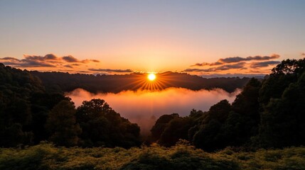 Aufkleber - Golden hour sunset with sunburst effect over a misty valley framed by lush green trees and foliage creating a serene landscape panorama