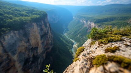 Poster - Panoramic view of a deep green canyon with a winding river through a lush valley framed by high rock cliffs under a bright sky
