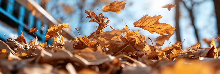 Leinwandbilder - Close-up shot of vibrant orange autumn leaves floating in the air with a blurred blue sky background and sun rays. The scene creates a warm and dynamic atmosphere