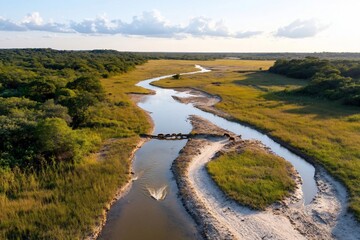 Poster - Aerial view captures a winding river flowing through lush green wetlands and forest under a sunny sky reflecting light and nature's beauty