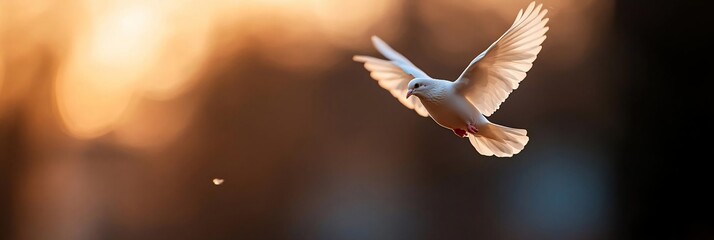 Aufkleber - A generic bird in mid-flight against a soft focus warm background illuminated by golden light creating a sense of freedom and peace