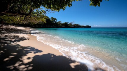 Poster - Scenic coastal view featuring a tranquil beach with turquoise water and lush vegetation under a bright sunny sky. Shadows from overhanging trees frame the scene