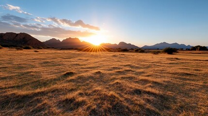 Poster - Golden hour sunlight illuminates a dry grassy field with distant rocky formations under a blue sky. The sun bursts through clouds creating a warm atmospheric glow