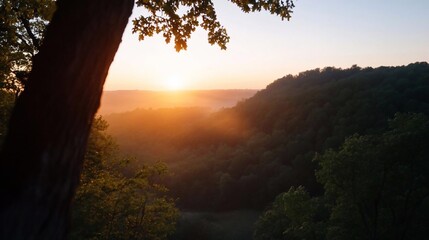 Poster - Scenic sunset landscape view over lush green forest and rolling hills with golden sunlight filtering through the trees creating a warm and tranquil atmosphere