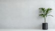 © danadesa - Minimalist Plant Decor on Light Gray Concrete Wall
