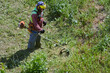 © Александр Ланевский - A gardener wearing protective overalls inspects an area overgrown with grass