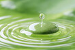 © Olivia - Water drop impacting calm green liquid, creating concentric ripples . Generative AI