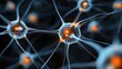 © JT Studio - A close-up view of neurons with glowing connections, showcasing the intricate structure of the nervous system.