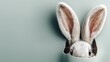 © AiPhotoSale - A fluffy white rabbit peeks through a dark, cut-out shape against a muted teal background, creating a striking, minimalist portrait