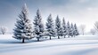 © Tida - Snow Covered Pine Trees in Winter Landscape - Majestic snow-covered pine trees stand in a serene winter landscape, showcasing the beauty of a frosty winter day
