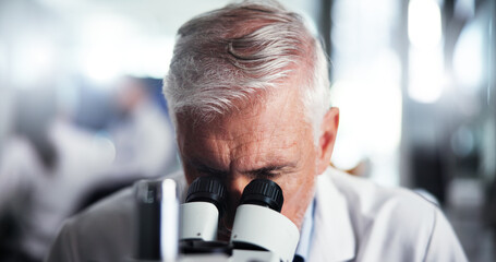 Aufkleber - Mature man, scientist or forensic with microscope for bio research, new study or experiment. Male person, medical worker or employee with lens, micro organism or scientific breakthrough at laboratory