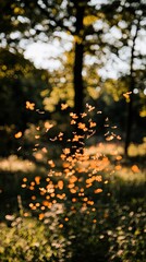 Wall Mural - Warm light shines through trees, illuminating blurry leaves. Nature scene