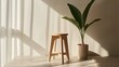 © Igor - A single wooden stool styled in a minimalist room with a potted plant beside it. background