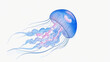 © Arun168 - Tentacle bloom jellyfish isolated watercolor vector illustration svg