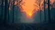 © Wonder Gallery - Serene Sunrise Path Through Misty Woodland A Picturesque Scene of Nature's Tranquility