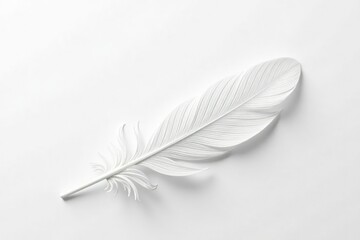 Wall Mural - a single, perfectly formed white feather isolated on white , stock, elegance