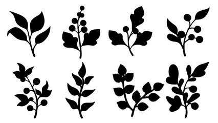 set of botanical plant silhouette vector on white background