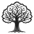 © Asif Al Akram - Elegant Elder Tree Illustration with Bold Outline