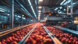 © Donnangelo - A vast conveyor belt transports a sea of vibrant red produce inside an industrial processing plant, ensuring freshness and efficiency.